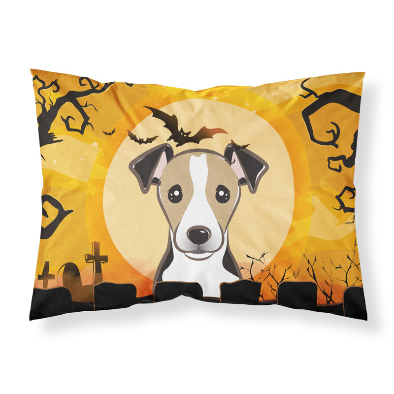 Microfiber, Black Jack Russell Terrier