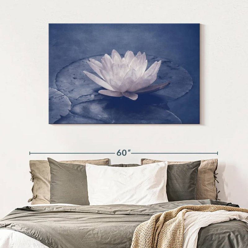 Harnek See Rose, 32" H x 48" W