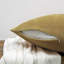 Square Throw Pillow Cover-2124306504