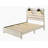 Queen Beds-13575955-13575949