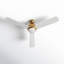 Erina 52'' 3 Blade Ceiling Fan with LED Light Kit-88061652-88061650