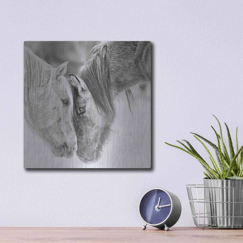 «BandW Horses VII» par PH Burchett, H 12 po x l 12 po