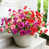Rouge / rose / mauve