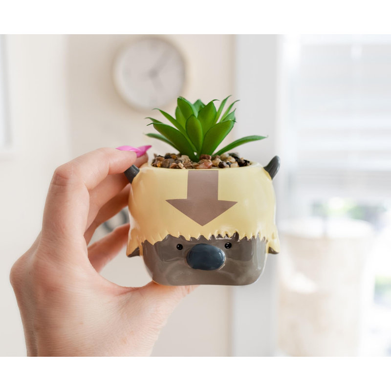 Plante grasse artificielle 5,5 po en pot