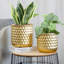 Nayshaun Set of 2 Modern Metal Planters with Stands 31cm &45cm Flower Holders Pots-1778403221