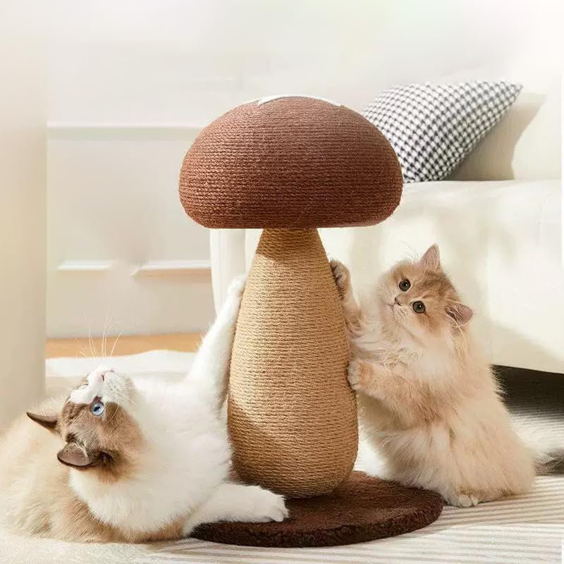 Grattoir à champignon avec corde en sisal, Brun