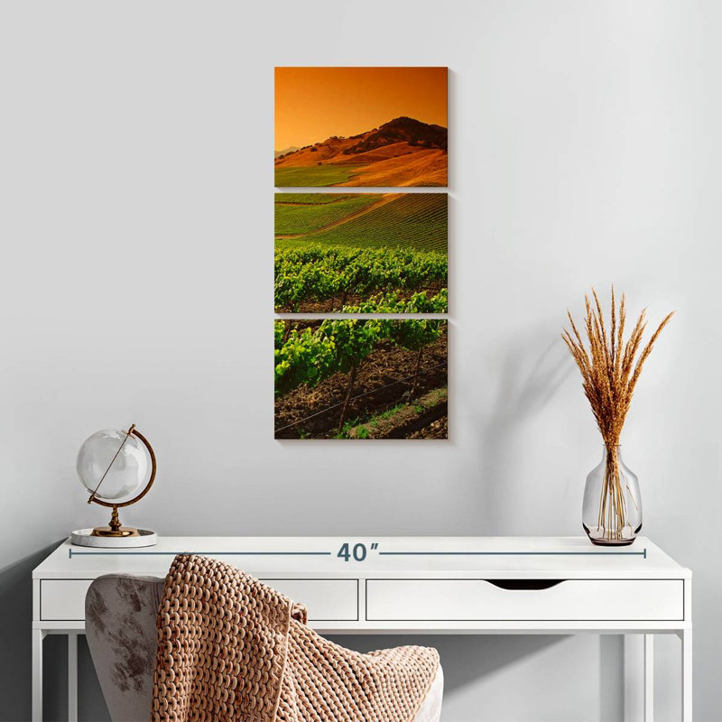 Carneros Vineyard Twilight, H 27 po x l 12 po