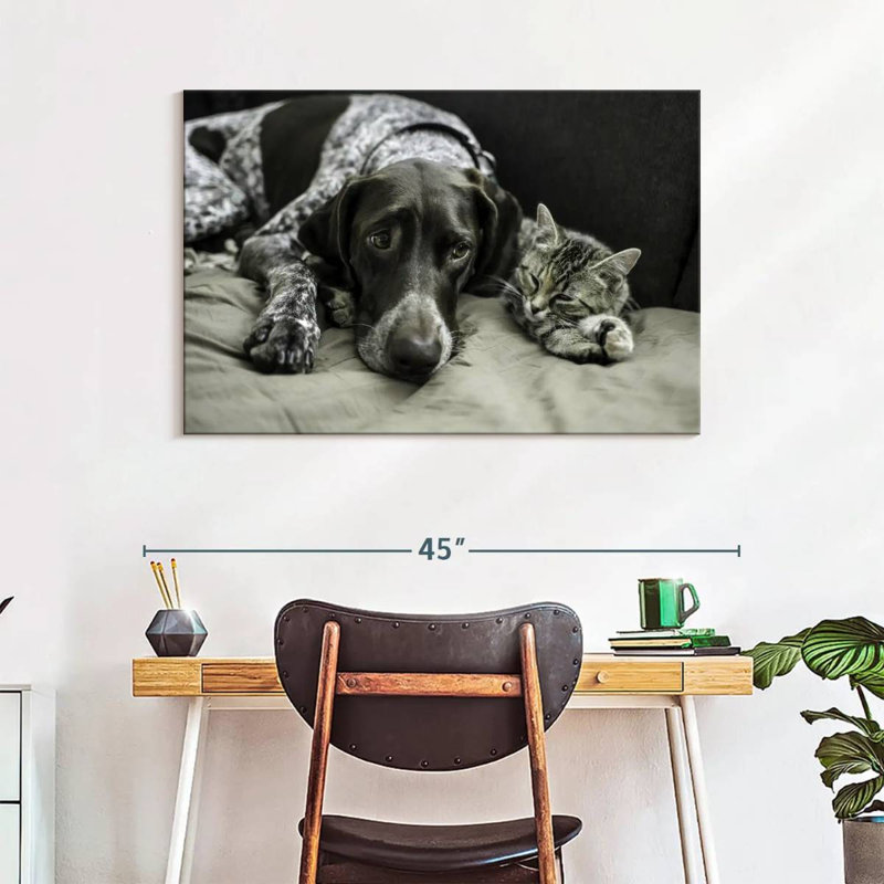 Dog And Cat Friends, 26" H x 39" W