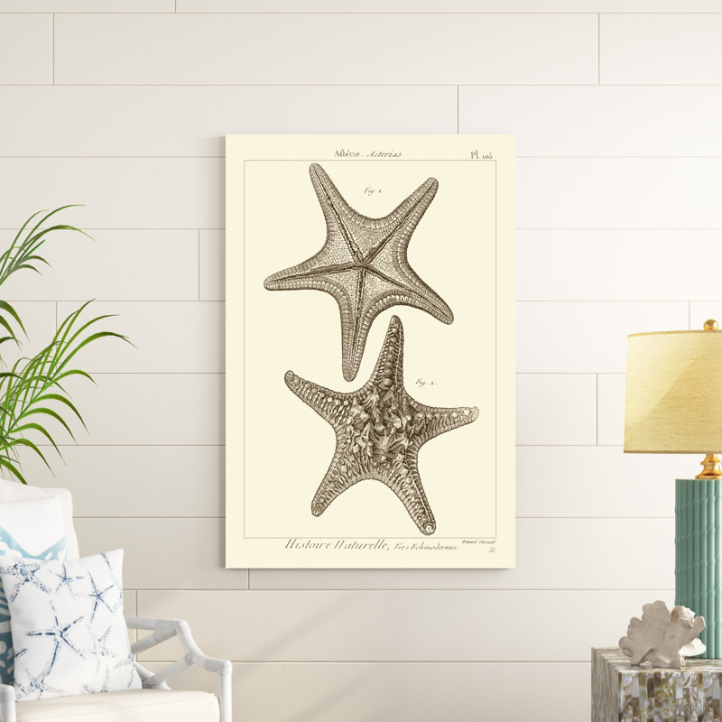 «Striking Starfish II», impression sur toile, H 48 po x l 32 po