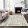 Chayden Indoor/Outdoor Chantille ACN1012 Area Rug