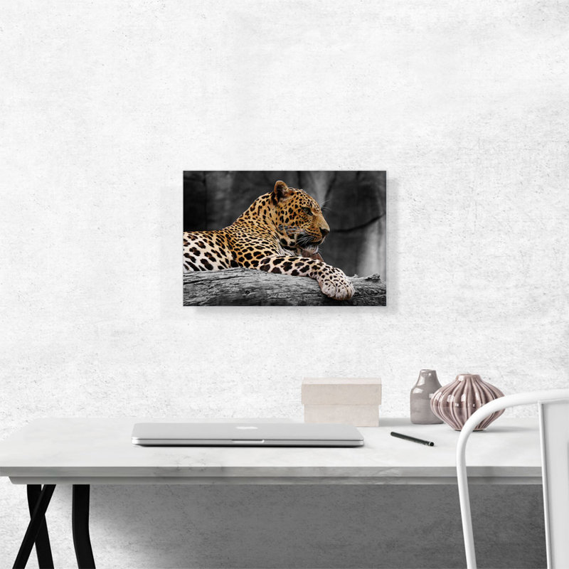 Leopard on Log - reproduction de photo sur toile tendue, H 12 po x l 18 po x P 0,75 po