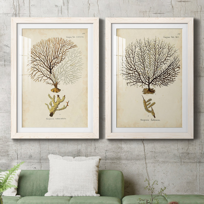 Toile encadrée Esper Sea Fans, H 31,5 po x l 47 po x P 1,5 po, Papier encadré blanc, Blanc