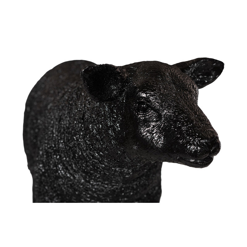 Texelaar Sheep, Lamb, Gel Coat Black