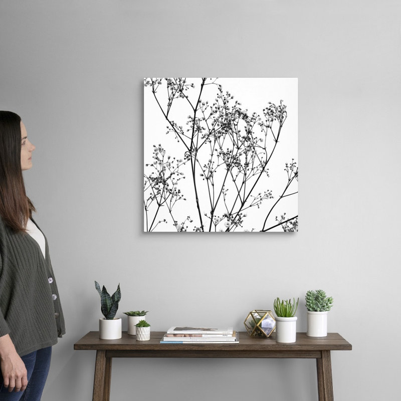 Reproduction d’art graphique sur toile, "gypsophilia on White" par Tom Quartermaine, Toile tendue