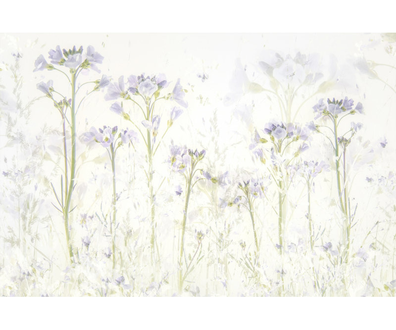 Wrapped Canvas Print, 60.96 cm H x 91.44 cm W