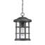 Bedhelm Outdoor Hanging Lantern