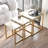 Roshaad Nesting Coffee Table