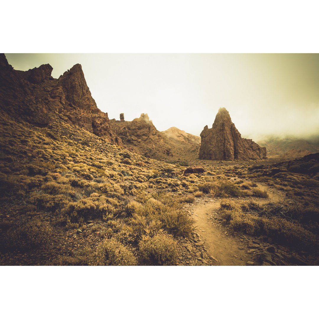 El Teide National Park by Zodebala - Druck