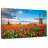 Alvord Two Dutch Windmills