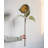 Sunflower Arrangement-641333760-641333763