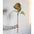 Sunflower Arrangement-641333763-641333760