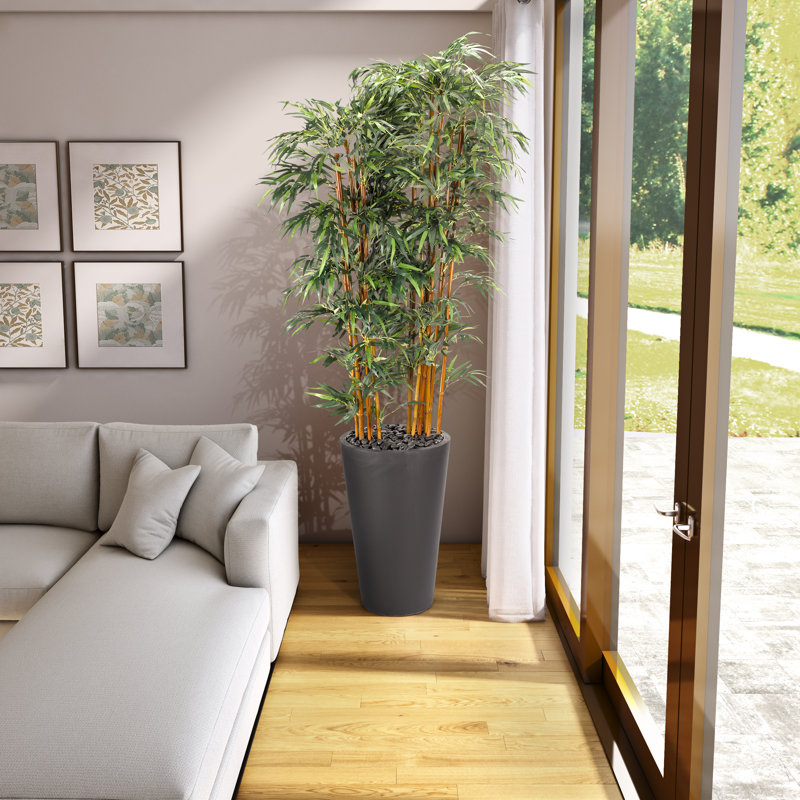 Arbre de bambou en pot de fleurs
