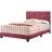Anjelo Upholstered Standard Bed-810427400-810482054