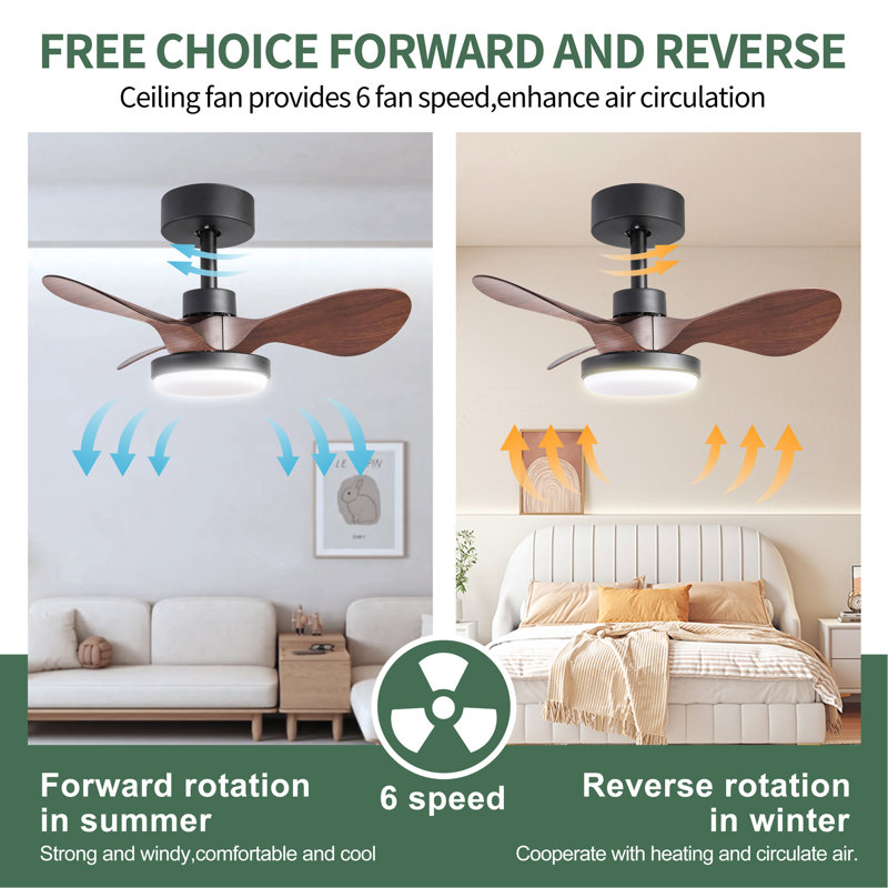 Petit ventilateur de plafond noir de 24 po avec télécommande légère, ventilateur de plafond moderne à profil bas, moteur CC réversible silencieux à 6 vitesses pour la chambre à coucher, cuisine