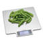 Taylor Pro Digital Scale