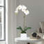 Orchid Arrangement In Vase-1326828206-1326828207