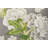 Schumacher x Mary McDonald Bermuda Blossoms Pillow