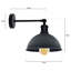 Janessa 1-Light Iron Swing Arm Dome Wall Sconce-139519011-139473250
