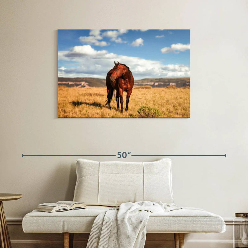 Wild Quarter Horse, 26" H x 39" W