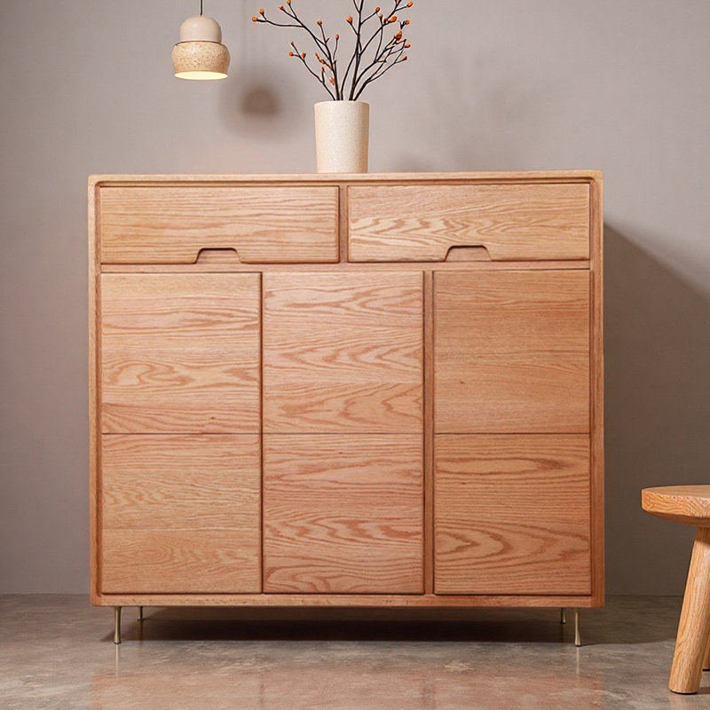 Modern simple storage shoe cabinet