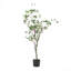 Bonsai artificiel en feuille de Milan-1119373366