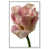 White Floater Frame is unavailable
