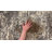 Abstract Indoor Rug-847736503