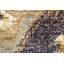 Tapis oriental contemporain abstrait à motif végétal noué à la main 4 x 6