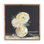 Flowers In Vase Print by Shaina Page