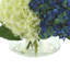 Assorted Hydrangea and Thistle Floral in Glass Vase