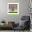 «Mid Century Breeze Block Wall with Cactus» par Cristobal Wood, reproduction d'art encadrée-1886276756