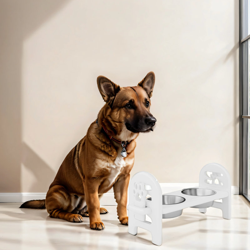 Bol pour animaux de compagnie pour l'extérieur - bois d'œuvre recyclé, eau, blanc, pique-nique ajustable en plastique