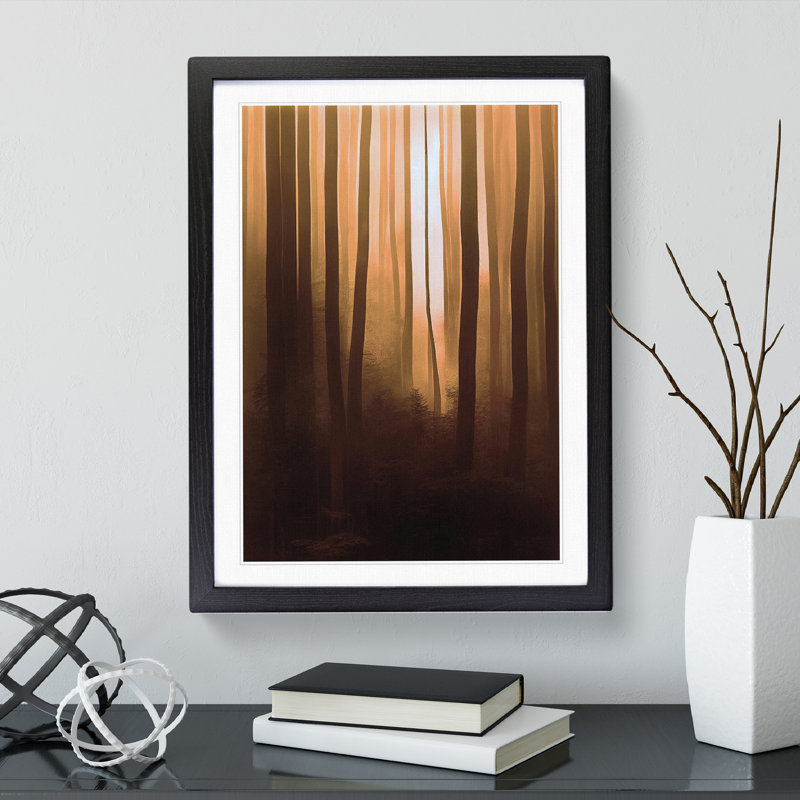 Autumnal Forest No.3 - Single Picture Frame Print, 64cm H x 46cm W x 2cm D, Black Framed