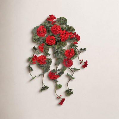 Earle UV Resistant Geranium Hanging Plant