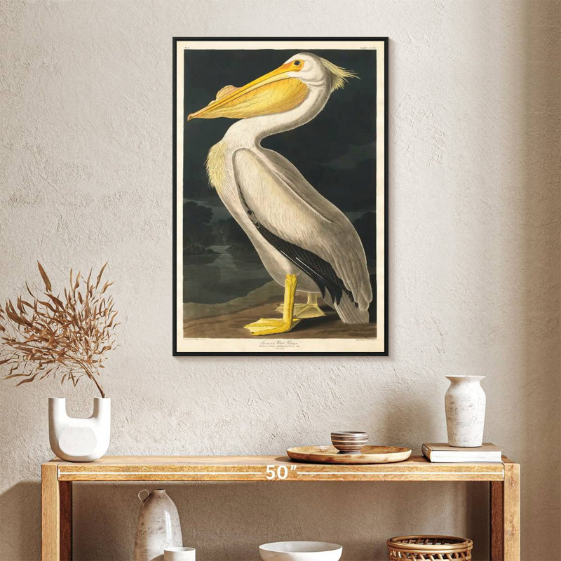 Pélican d'Amérique des oiseaux d'Amérique, 25 po x 37 po, Cadre flottant noir