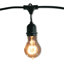 Jothan 48-ft Outdoor 15 - Bulb Standard String Light (End to End Connectable)