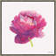 Flower Pink Painting by JP Kilkenny-73092971-73092974