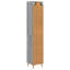 Storage Cabinet-1974818238