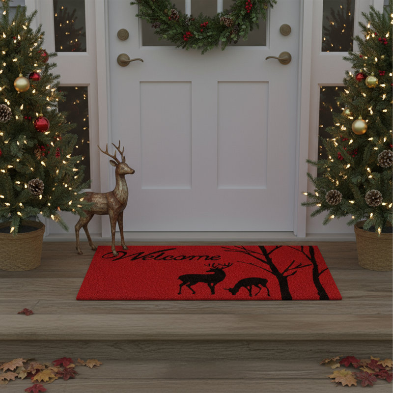 Amiela Non-Slip Outdoor Doormat