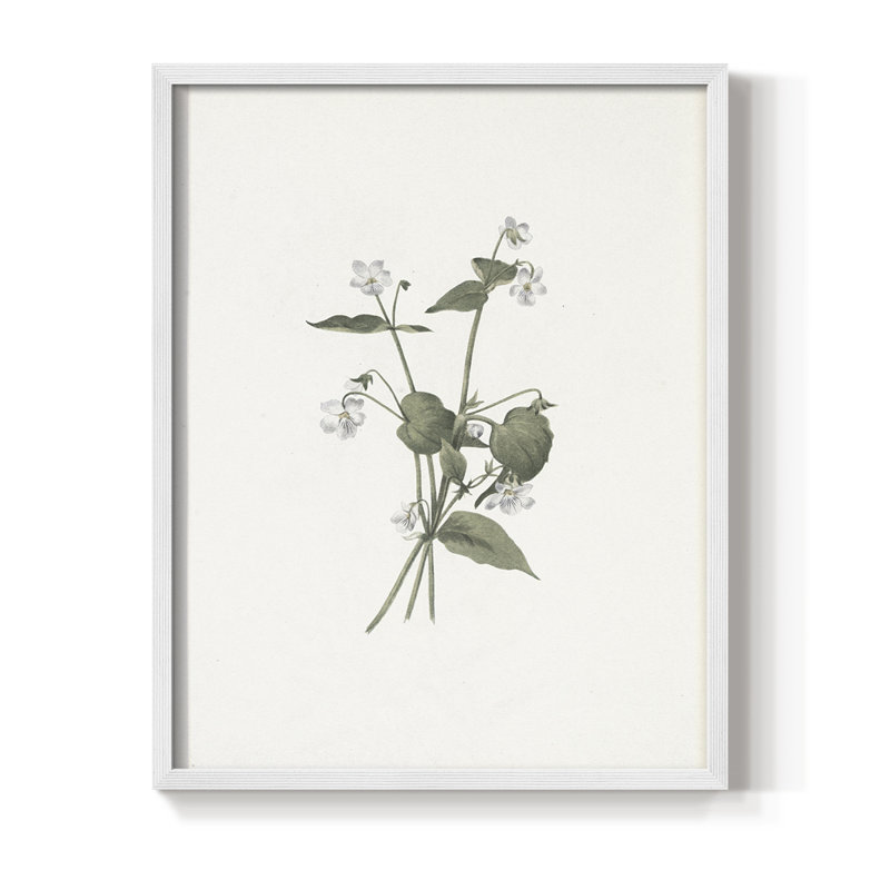 «Vintage Floral Print», impression encadrée CCV - bois massif, H 11 po x l 9 po, Blanc